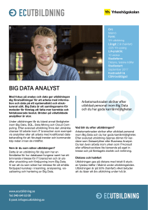 big data analyst