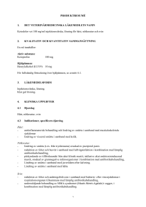 Ketodolor vet solution for injection SmPC
