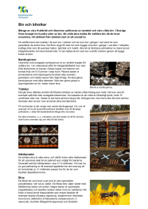 Bin och biholkar - Naturhistoriska riksmuseet