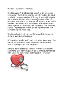 Hjärtat –pumpen i systemet