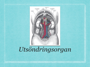 Utso_ndringsorgan