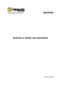 RAPPORT Kontroll av äkthet hos basmatiris