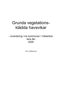 Grunda vegetations- klädda havsvikar