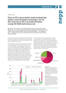 flera av eu.indd - North European Power Perspectives