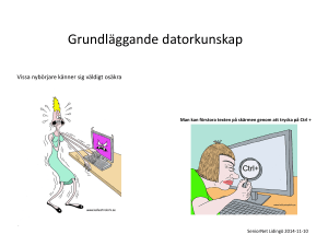 Grundläggande datorkunskap