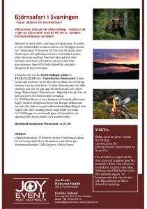 Björnsafari i Svaningen