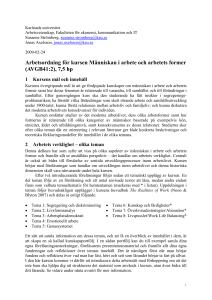 Arbetsordning Människan i arbete