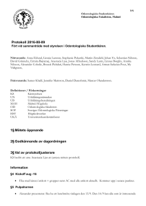 Protokoll Stormöte 2016-09-08