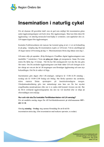 Insemination i naturlig cykel