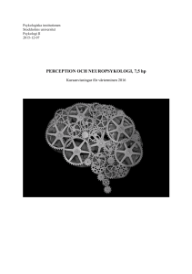 PERCEPTION OCH NEUROPSYKOLOGI, 7,5 hp