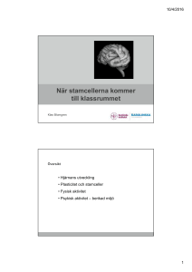När stamcellerna kommer till klassrummet, Klas Blomgren