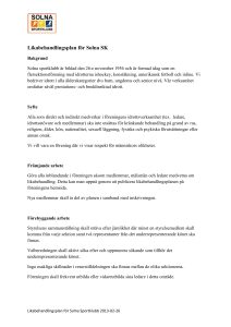 Likabehandlingsplan 2013-02-26