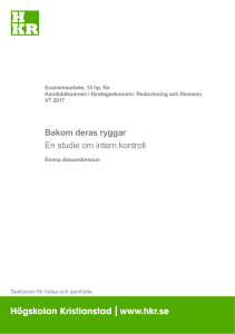 Bakom deras ryggar En studie om intern kontroll