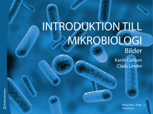 introduktion till mikrobiologi