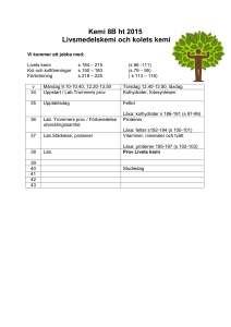 Kemi 9A vt 2013 Livsmedelskemi