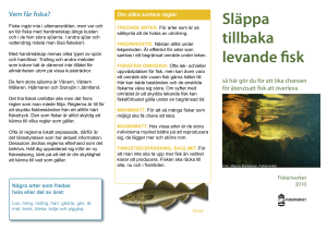 Släppa tillbaka levande fisk