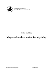 Mag-tarmkanalens anatomi och fysiologi