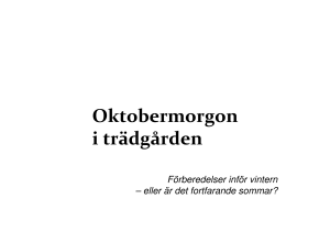 (Microsoft PowerPoint - Oktobermorgon i tr\344dg\345rden)
