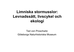 Limniska stormusslor: Levnadssätt, livscykel och