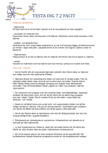 TESTA DIG 7.2 FACIT