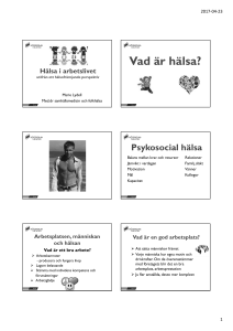 Presentation Lydell Weman
