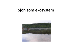 Sjön som ekosystem