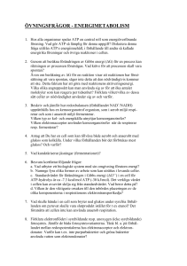 ÖVNINGSFRÅGOR - ENERGIMETABOLISM