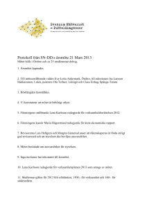 Protokoll från SN-DD:s årsmöte 21 Mars 2013