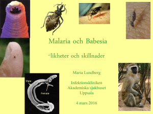 Tropiska sjukdomar