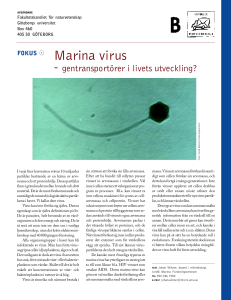 HU20002virus