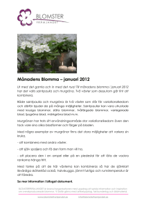 Månadens Blomma – januari 2012 Ut med det gamla och in med det