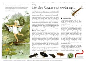 Men dom flesta är små, mycket små