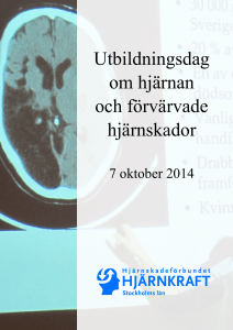 Utbildningsdag om hjärnan och förvärvade hjärnskador