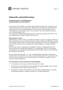 Salmonella, patientinformation