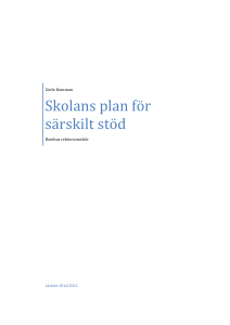 Skolans plan för särskilt stöd