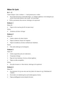 Målen för fysik
