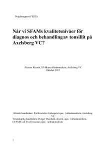 Projektplan VESTA