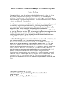 Urinvägsinfektion är en av de vanligaste bakterieinfektionerna och