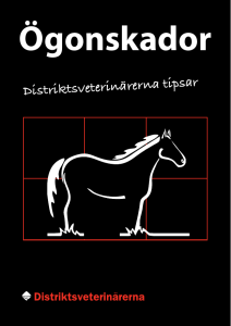 Ögonskador - Distriktsveterinärerna