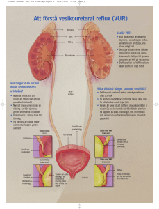 Att förstå vesikoureteral reflux (VUR)