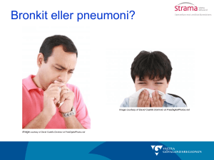 Rubrik startbild