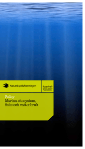 Policy för hav och marina ekosystem