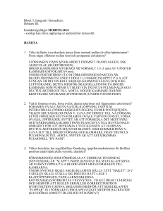 pdf-fil