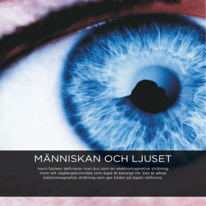 människan och ljuset