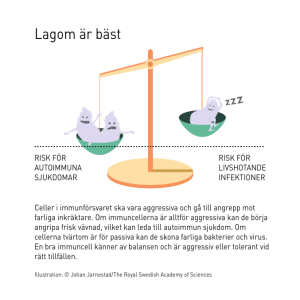 vågskålar version 4