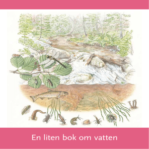 En liten bok om vatten