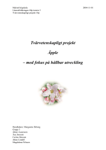 Vår enkätundersökning – genomförande och