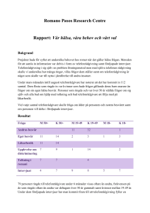 Rapport - Romani E Journal