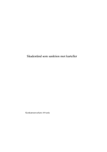 Rapport juli 2002, Skadestånd som sanktion mot