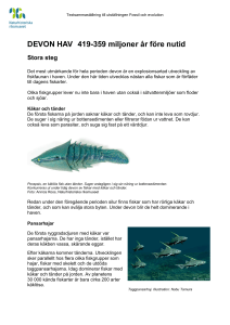 devon - Naturhistoriska riksmuseet